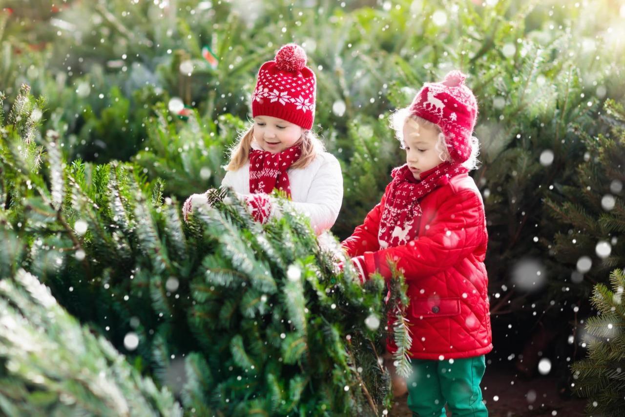 Family Wellhouse Green Garden Direct In Salzburg, Sunny Big Garden, Up To 16 Pax, Bikes For Free, Bbq, Sunbeds, Parking For Free, 15 Min Sound Of Music 외부 사진