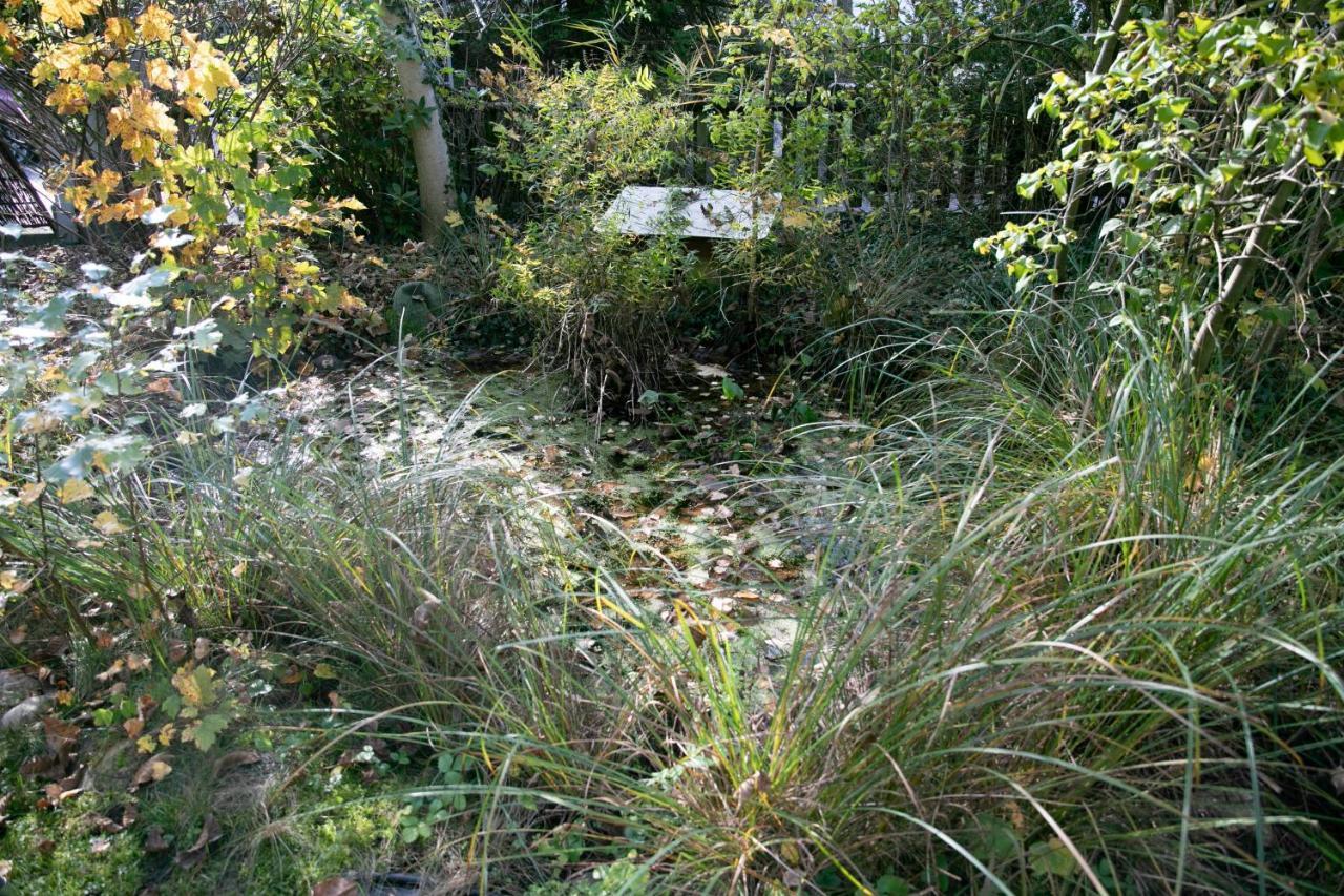 Family Wellhouse Green Garden Direct In Salzburg, Sunny Big Garden, Up To 16 Pax, Bikes For Free, Bbq, Sunbeds, Parking For Free, 15 Min Sound Of Music 외부 사진